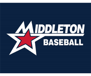 Baseball Division Descriptions